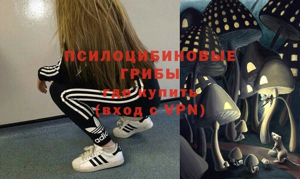 эйфоретик Медногорск