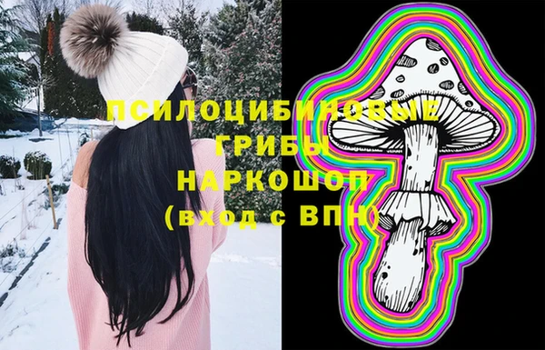 2c-b Михайлов