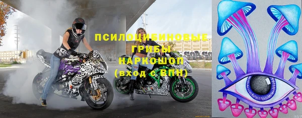 бошки Медвежьегорск