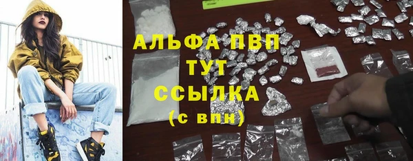 PSILOCYBIN Мегион