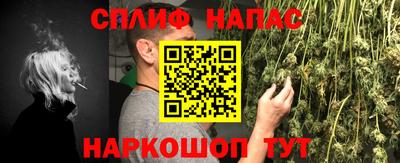 СК Кандалакша