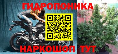 СК Кандалакша