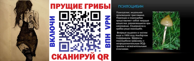 наркота  МЕГА ссылки  Галлюциногенные грибы мицелий  Балашов 
