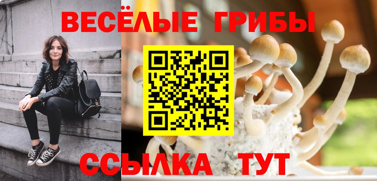 Псилоцибиновые грибы ЛСД Балашов